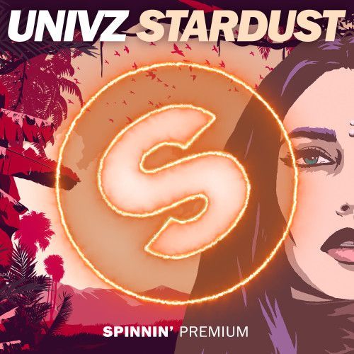 Stardust Stardust