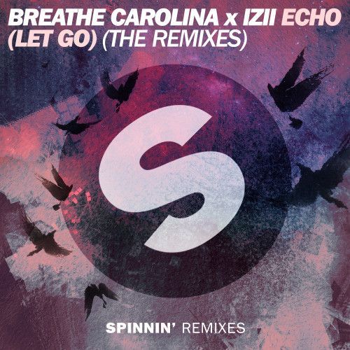 ECHO (LET GO) (The Remixes) ECHO (LET GO) (The Remixes)